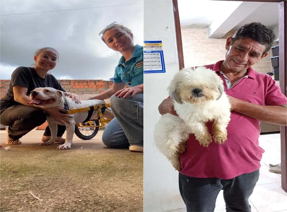 Pets com deficiência são os últimos na fila de adoção no país 
